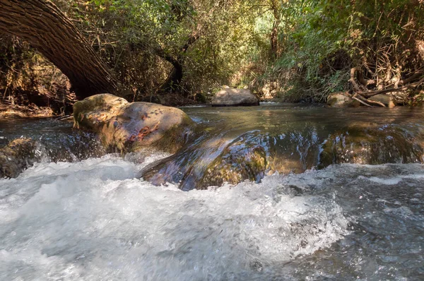 Das Bett Des Schnellen Bergigen Hermon Flusses Mit Kristallklarem Wasser — Stockfoto