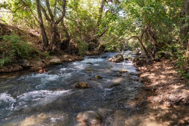 İsrail 'in kuzeyindeki Golan Tepeleri' nde kristal berrak suları olan hızlı Hermon Nehri 'nin yatağı.