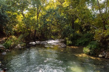İsrail 'in kuzeyindeki Golan Tepeleri' nde kristal berrak suları olan hızlı Hermon Nehri 'nin yatağı.