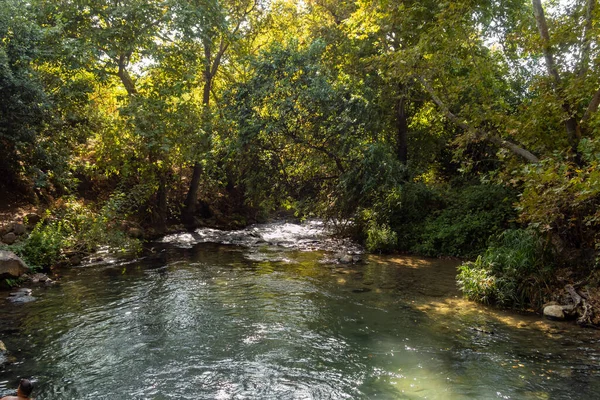 Lecho Del Veloz Río Hermón Con Aguas Cristalinas Los Altos —  Fotos de Stock