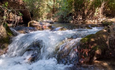 İsrail 'in kuzeyindeki Golan Tepeleri' nde kristal berrak suları olan hızlı Hermon Nehri 'nin yatağı.