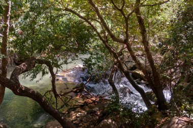 İsrail 'in kuzeyindeki Golan Tepeleri' nde kristal berrak suları olan hızlı Hermon Nehri 'nin yatağı.