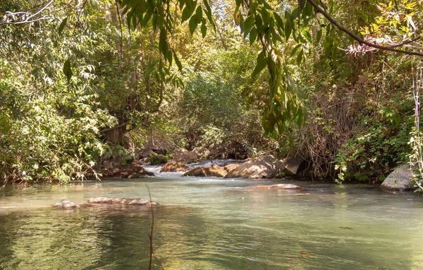 Leito Veloz Rio Hermon Montanhoso Com Águas Cristalinas Nas Colinas — Fotografia de Stock