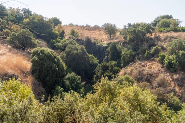 Naturaleza Cerca Montaña Rápida Hermon River Los Altos Del Golán — Foto de Stock