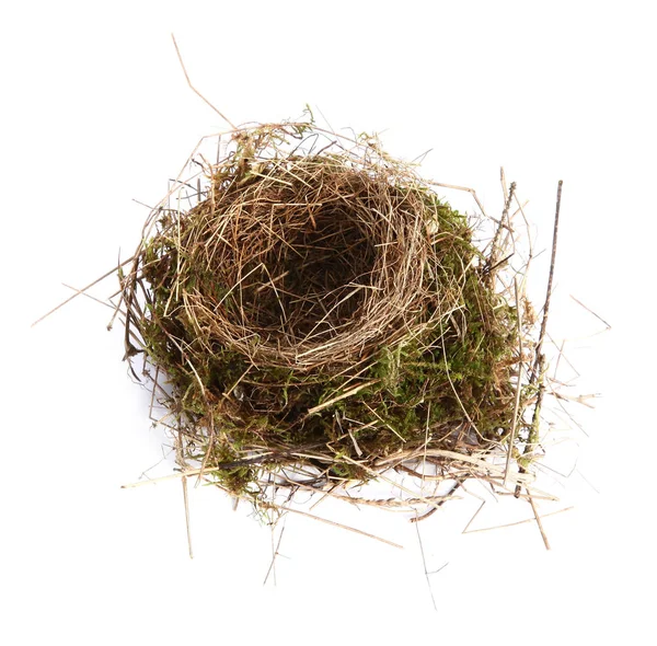 Leeres Nest Auf Weißem Hintergrund — Stockfoto