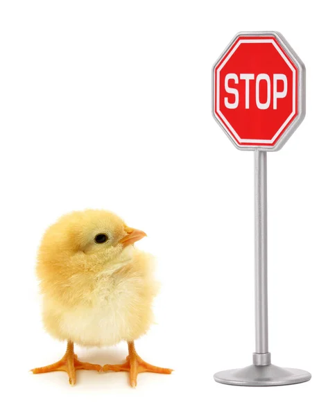 Зупинити Знак Пташеня — стокове фото