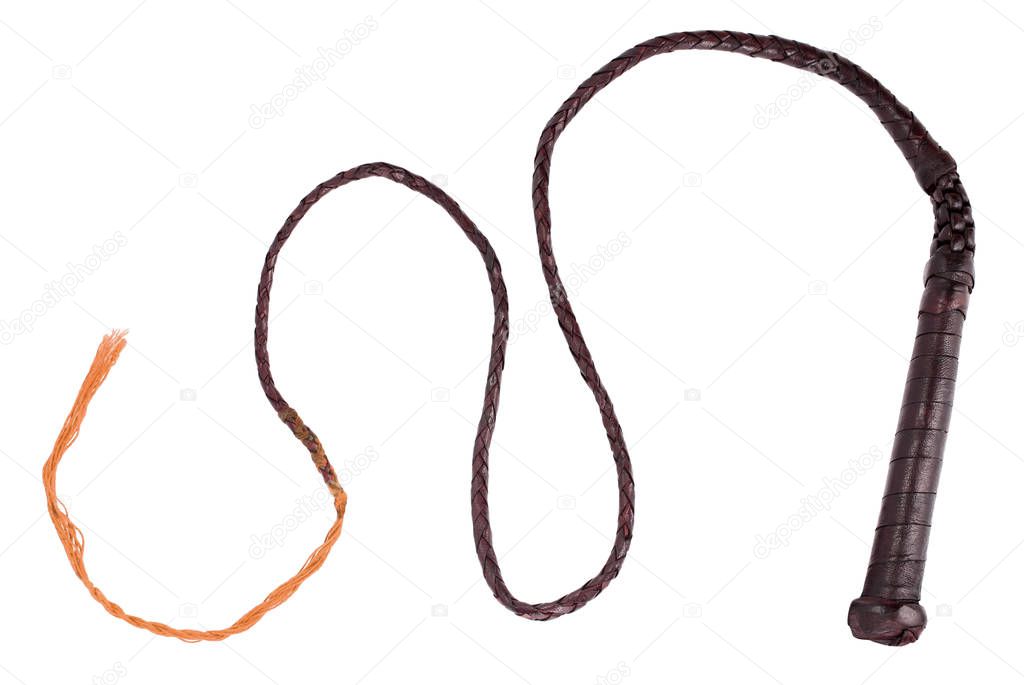 Brown whip for hunting
