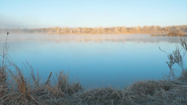 Morning fog on the lake in the frosty morning — Stock Footage Morning fog on the lake in the frosty morning Royalty Free Stock Footage