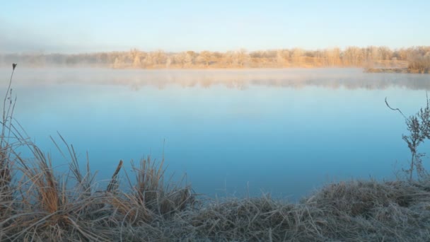 Morning fog on the lake in the frosty morning — Stock Footage Morning fog on the lake in the frosty morning Video Clip