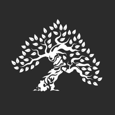Koyu arka plan üzerinde izole organik doğal ve sağlıklı zeytin ağacı siluet logosunu görmeniz gerekir. Modern vektör yeşil bitki simgesini işaret sanat tasarım. Premium kalite petrol ürün logo düz amblemi illüstrasyon.