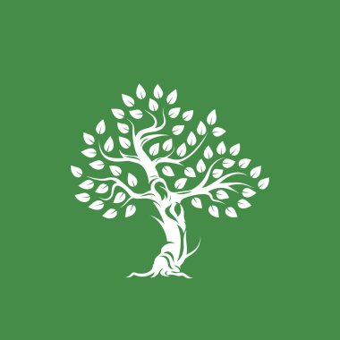 Yeşil arka plan üzerinde izole organik doğal ve sağlıklı zeytin ağacı siluet logosunu görmeniz gerekir. Modern vektör yeşil bitki simgesini işaret sanat tasarım. Premium kalite petrol ürün logo düz amblemi illüstrasyon.