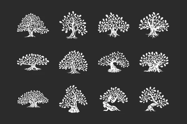 Wielkie Święte Drzewo Dąb Roślina Sylwetka Logo Białym Tle Ciemnym — Wektor stockowy