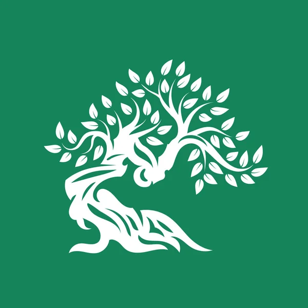 Organiczne Naturalne Zdrowe Drzewa Oliwnego Sylwetka Logo Białym Tle Zielonym — Wektor stockowy