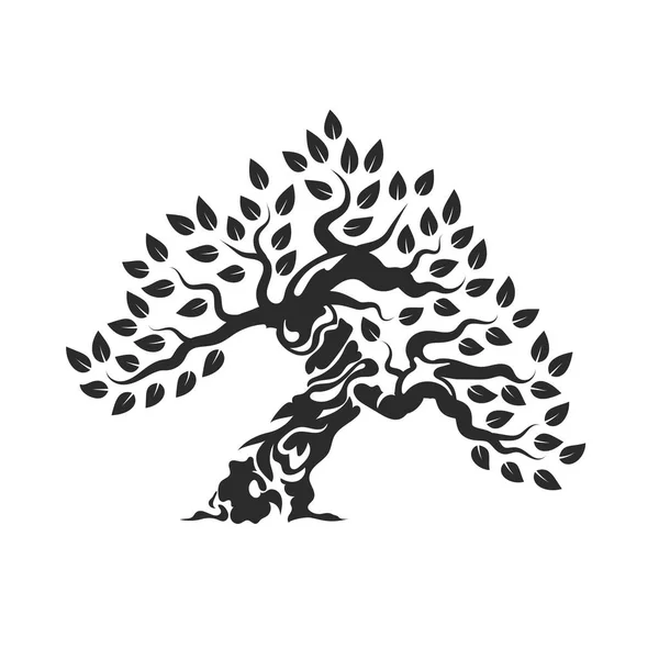 Logotipo Silueta Olivo Orgánico Natural Saludable Aislado Sobre Fondo Blanco — Vector de stock