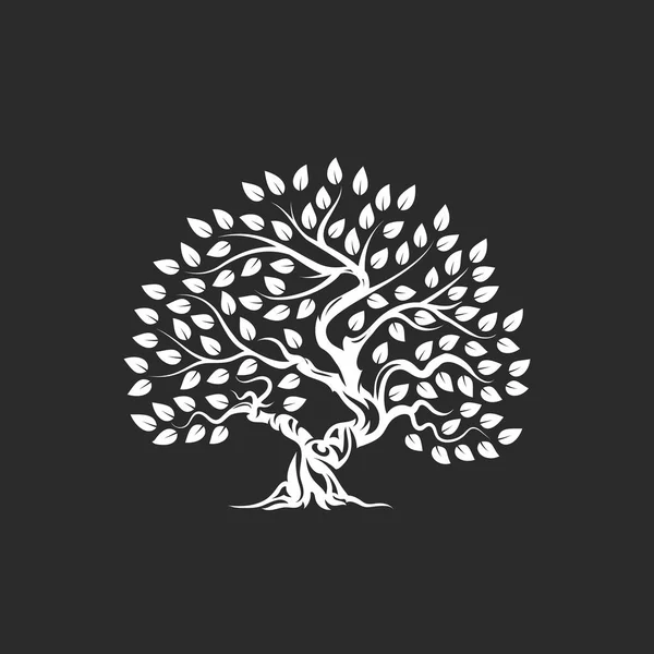 Органические Натуральные Здоровые Оливковые Деревья Силуэт Логотип Изолирован Темном Фоне — стоковый вектор