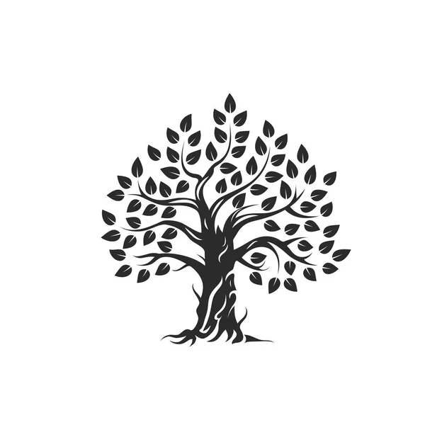 Logo Biologique Naturel Sain Silhouette Olivier Isolé Sur Fond Blanc — Image vectorielle