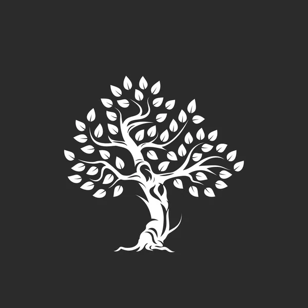 Logo Biologique Naturel Sain Silhouette Olivier Isolé Sur Fond Sombre — Image vectorielle
