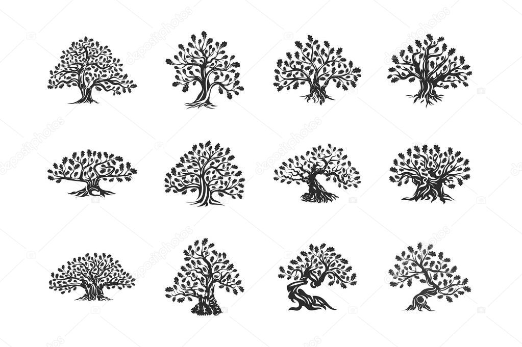 Huge and sacred oak tree plant silhouette logo isolated on white background set. Modern vector national tradition badge sign design. Premium quality natural organic logotype emblem illustration.