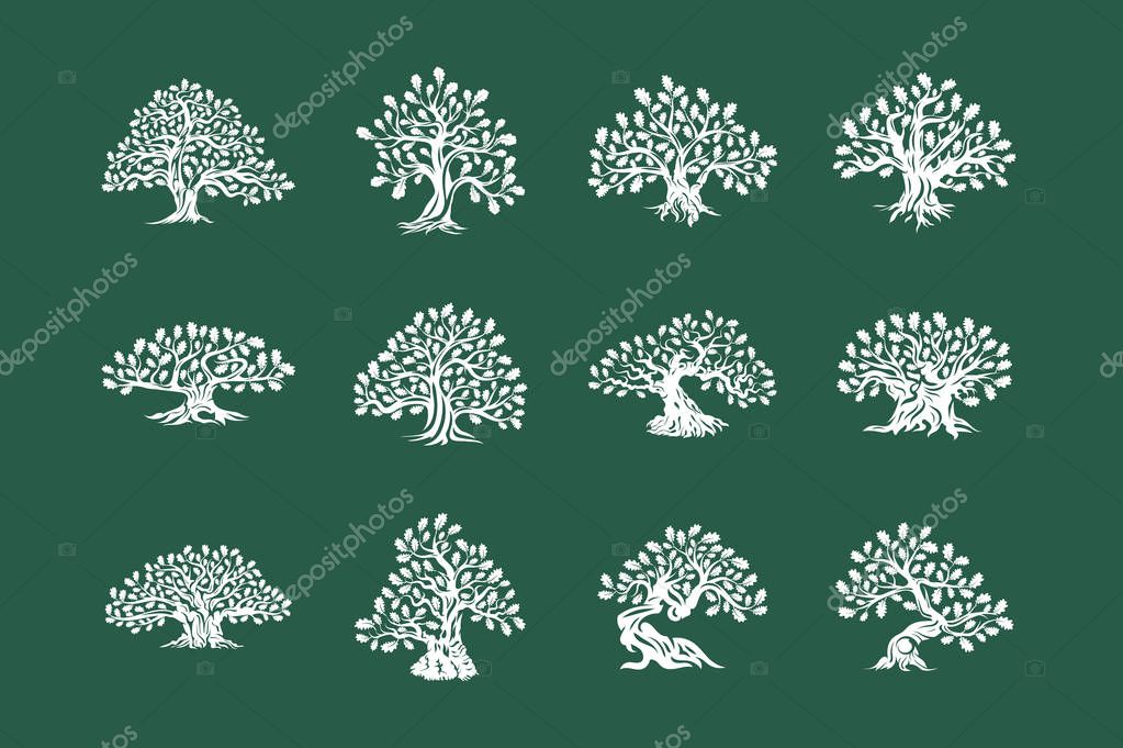 Huge and sacred oak tree plant silhouette logo isolated on green background set. Modern vector national tradition badge sign design. Premium quality natural organic logotype emblem illustration.