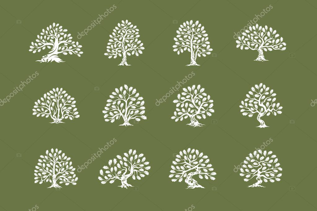 Huge and sacred oak tree plant silhouette logo isolated on green background set. Modern vector national tradition badge sign design. Premium quality natural organic logotype emblem illustration.