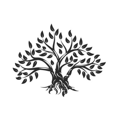 Beyaz arka plan üzerinde izole organik doğal ve sağlıklı zeytin ağacı siluet logosunu görmeniz gerekir. Modern vektör yeşil bitki simgesini işaret sanat tasarım. Premium kalite petrol ürün logo düz amblemi illüstrasyon.