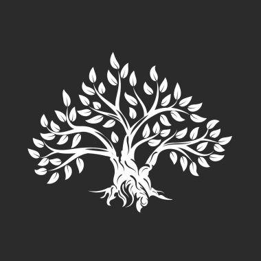 Koyu arka plan üzerinde izole organik doğal ve sağlıklı zeytin ağacı siluet logosunu görmeniz gerekir. Modern vektör yeşil bitki simgesini işaret sanat tasarım. Premium kalite petrol ürün logo düz amblemi illüstrasyon.