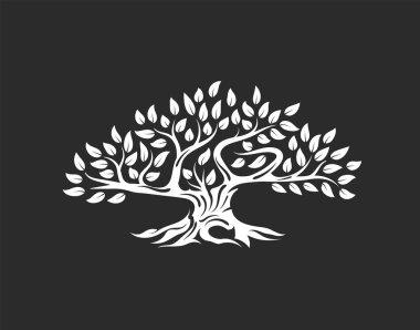 Koyu arka plan üzerinde izole organik doğal ve sağlıklı zeytin ağacı siluet logosunu görmeniz gerekir. Modern vektör yeşil bitki simgesini işaret sanat tasarım. Premium kalite petrol ürün logo düz amblemi illüstrasyon.