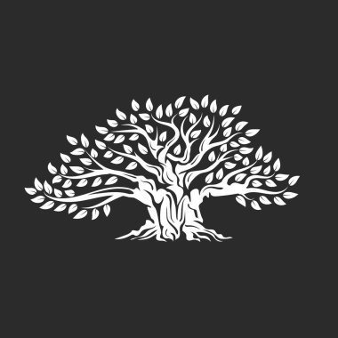 Koyu arka plan üzerinde izole organik doğal ve sağlıklı zeytin ağacı siluet logosunu görmeniz gerekir. Modern vektör yeşil bitki simgesini işaret sanat tasarım. Premium kalite petrol ürün logo düz amblemi illüstrasyon.