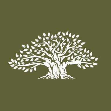 Yeşil arka plan üzerinde izole organik doğal ve sağlıklı zeytin ağacı siluet logosunu görmeniz gerekir. Modern vektör yeşil bitki simgesini işaret sanat tasarım. Premium kalite petrol ürün logo düz amblemi illüstrasyon.