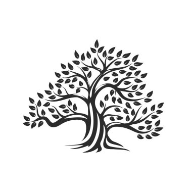 Beyaz arka plan üzerinde izole organik doğal ve sağlıklı zeytin ağacı siluet logosunu görmeniz gerekir. Modern vektör yeşil bitki simgesini işaret sanat tasarım. Premium kalite petrol ürün logo düz amblemi illüstrasyon.