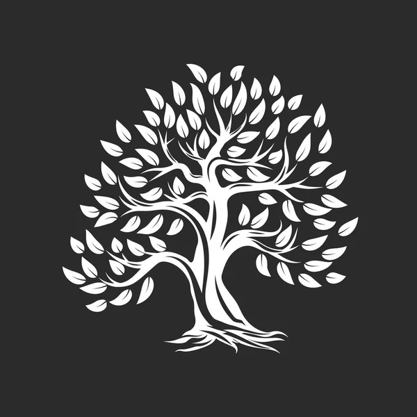 有機自然と健康なオリーブの木シルエットのロゴが暗い背景に分離されました 現代ベクトル緑色植物アイコン記号デザインのアートワーク プレミアム品質石油製品ロゴタイプ フラット エンブレムのイラスト — ストックベクタ