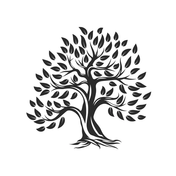 Organiczne Naturalne Zdrowe Drzewa Oliwnego Sylwetka Logo Białym Tle Nowoczesne — Wektor stockowy