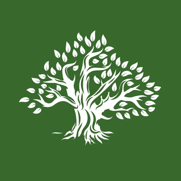 Ekologisk Naturlig Och Hälsosam Olivträdet Siluett Logotyp Isolerad Grön Bakgrund — Stock vektor