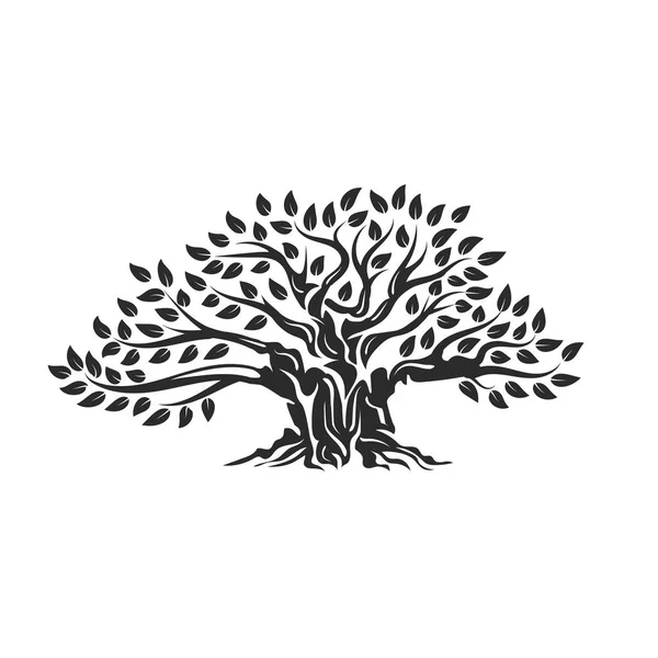 Organiczne Naturalne Zdrowe Drzewa Oliwnego Sylwetka Logo Białym Tle Nowoczesne — Wektor stockowy