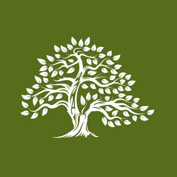 Органічний Натуральний Здоровий Логотип Силуету Оливкового Дерева Ізольований Зеленому Тлі — стоковий вектор
