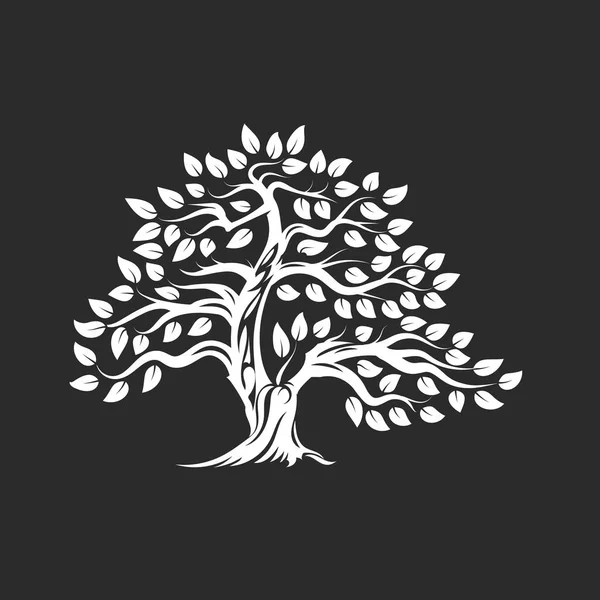 Organiczne Naturalne Zdrowe Drzewa Oliwnego Sylwetka Logo Białym Tle Ciemnym — Wektor stockowy