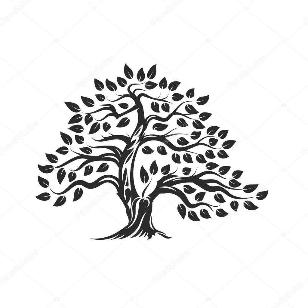 Organic natural and healthy olive tree silhouette logo isolated on white background. Modern vector green plant icon sign design artwork. Premium quality oil product logotype flat emblem illustration.