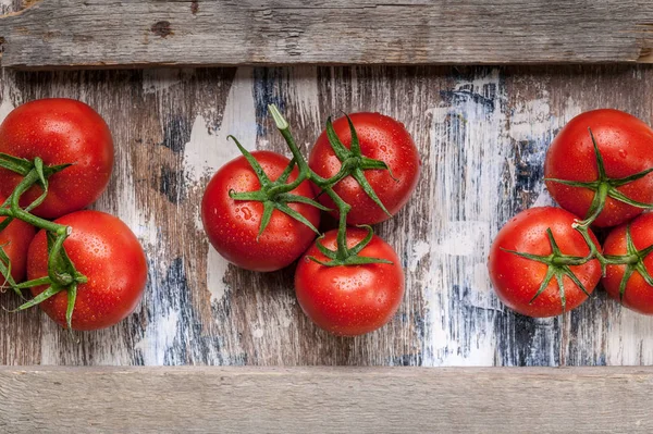 Food banner tomatoes on a branch on a rustic background. Horizontal wood frame