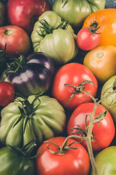 Different types, colors and shapes of tomatoes. Harvesting Background. Vertical shot