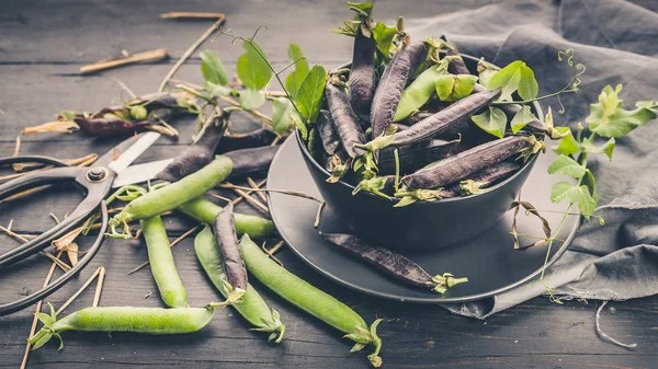 Food banner. Purple sugar peas in a dark bowl on a rustic background. Vintage composition. Farm Organic Products Concept