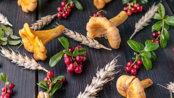 Food banner wild forest mushrooms, wild berries and wheat on a dark wooden background. Close-up