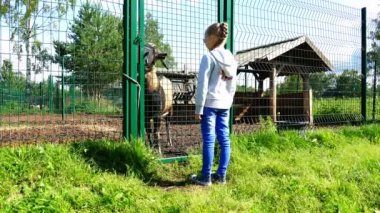 Çocuk hayvan parmaklıklar arkasında izler