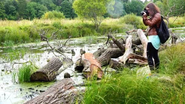 Tomar fotos toma fotos pantano — Vídeos de Stock