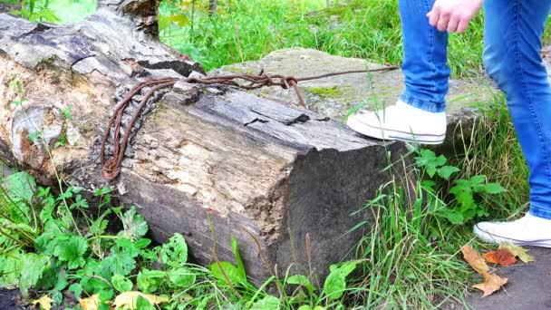 Zawodnik wyciąga koronki na trampki i prostuje dżinsy — Wideo stockowe