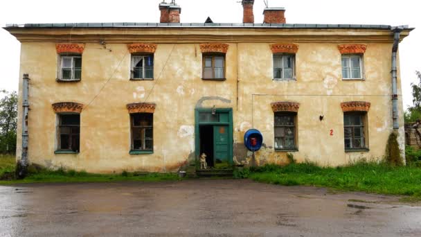 Un cane sul portico di una vecchia casa in una povera baraccopoli — Video Stock