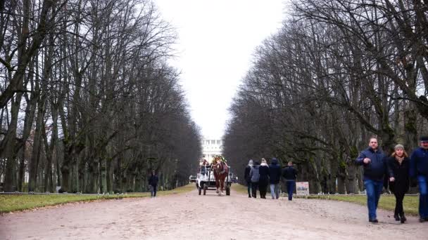 Laget med transport transporterar turister i parken — Stockvideo