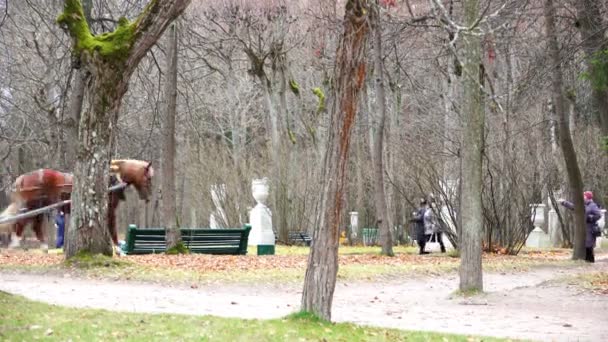 Häst driven vagn med turister — Stockvideo