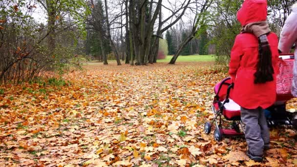 Dotter med hennes mor hjulburna barnvagnar på gula bladen — Stockvideo