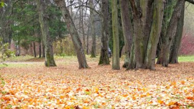Birkaç kişi nefes Hava Park Altın yaprağı ile