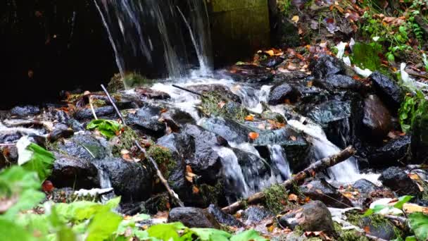 El agua cae sobre las piedras negras, rompiéndose en gotas — Vídeo de stock